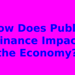 How Does Public Finance Impact the Economy?