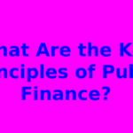 What Are the Key Principles of Public Finance?