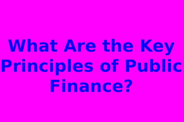 What Are the Key Principles of Public Finance?