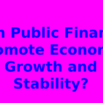 Can Public Finance Promote Economic Growth and Stability?