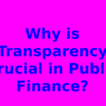 Why is Transparency Crucial in Public Finance?