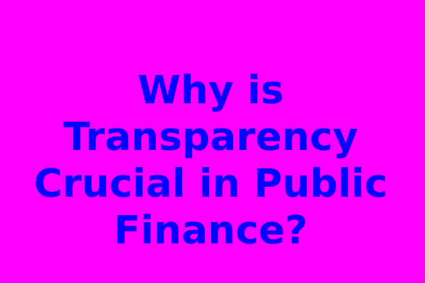 Why is Transparency Crucial in Public Finance?