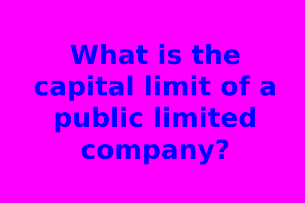 What is the capital limit of a public limited company?