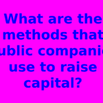 What are the methods that public companies use to raise capital?
